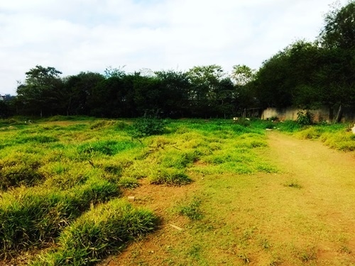 Área Industrial em Santana de Parnaíba